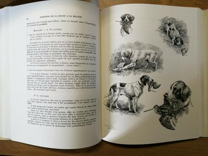 Edouard Demole - Subtilites De La Chasse A La Becasse - 1978 - Caccia - - Edouard Demole - copertina