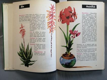 Giardino In Casa - Ed. Frate Indovino 1971 Fiori, Piante E Loro Usi - Frate Indovino - copertina