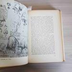 Storia Universale Del Cuore
