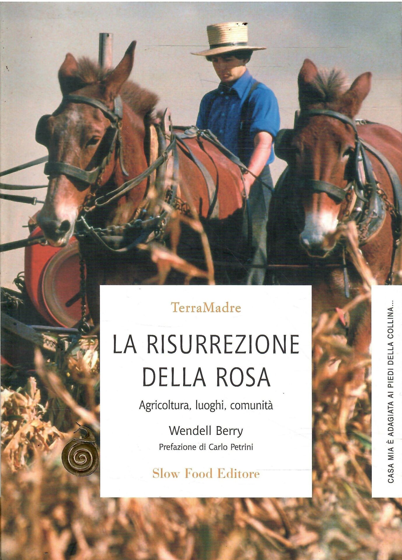 Libroteka di Fattoretti Silvia