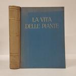 vita delle piante