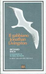 Il gabbiano Jonathan Livingston