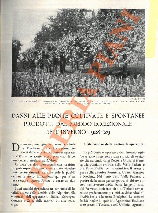 Danni alle piante coltivate e spontanee prodotti da altre due eccezionali dell'inverno 1928-29 - Adriano Fiori - copertina