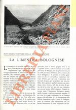 Limentra Bolognese