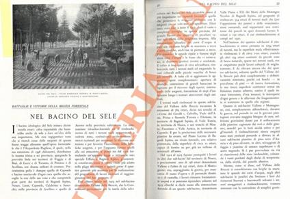 Nel bacino del Sele - Ulderico Tegani - copertina