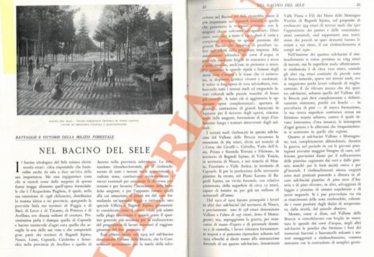 Nel bacino del Sele - Ulderico Tegani - copertina