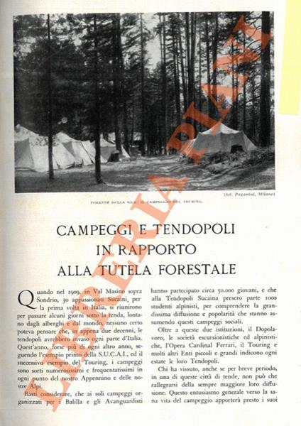 Campeggi e tendopoli in rapporto alla tutela forestale - Giuseppe Venturoli - copertina