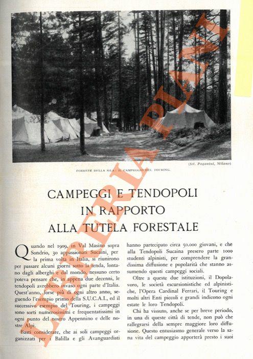 Campeggi e tendopoli in rapporto alla tutela forestale