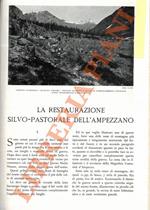 restaurazione silvo-pastorale dell'Ampezzano