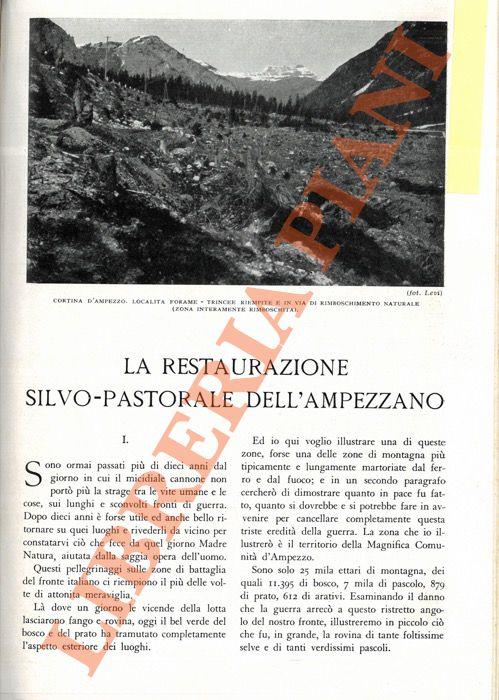 restaurazione silvo-pastorale dell'Ampezzano