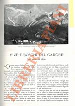 Vize e boschi del Cadore dal 1000 al 1800
