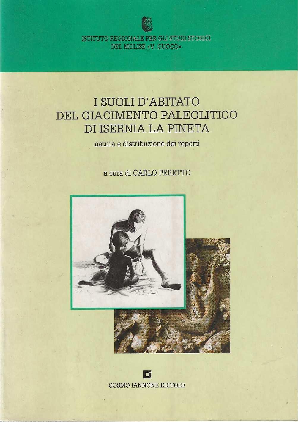 I suoli d'abitato del giacimento paleolitico di Isernia la pineta