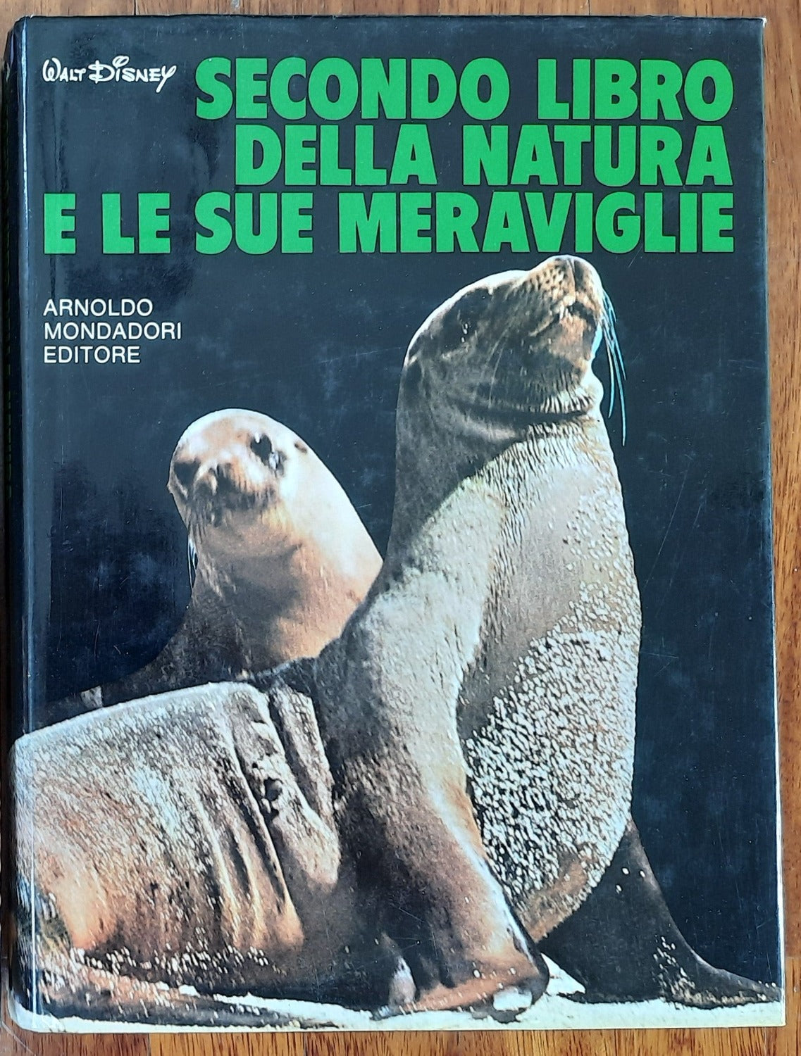 Libreria Biellese
