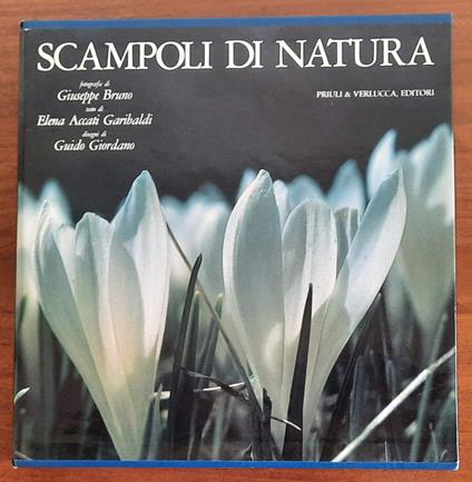Scampoli di Natura - copertina