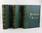 Picturesque Europe. A delineation by pen and pencil of the natural features and the pictoresque and historical places
