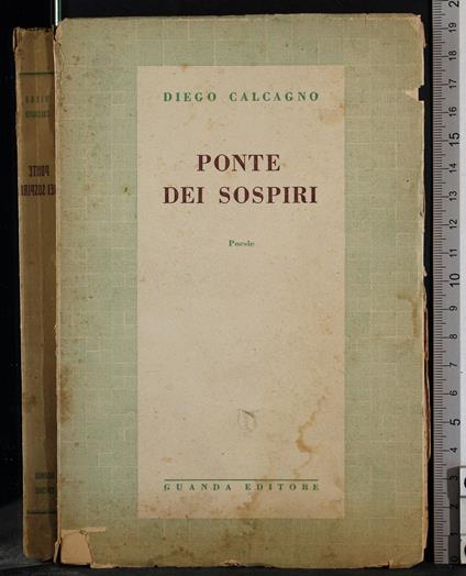 Ponte dei spospiri - Diego Calcagno - copertina