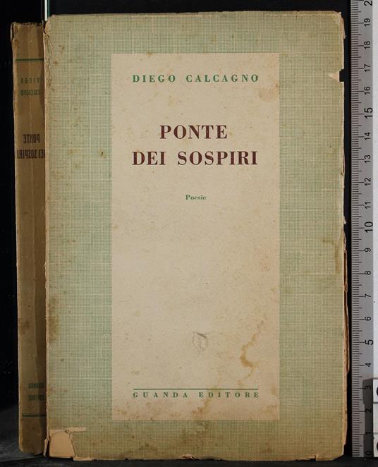 Ponte dei spospiri - Diego Calcagno - copertina
