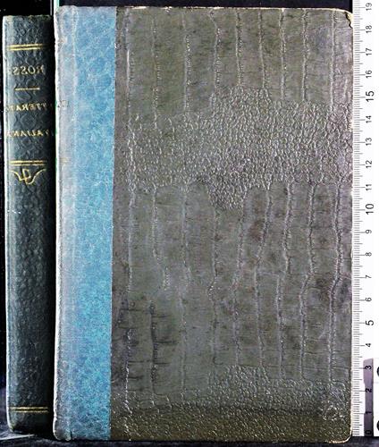 Storia della letteratura Italiana. Vol 3 - Vittorio Rossi - copertina