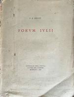 Forum Iulii