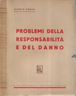 Problemi della responsabilità e del danno