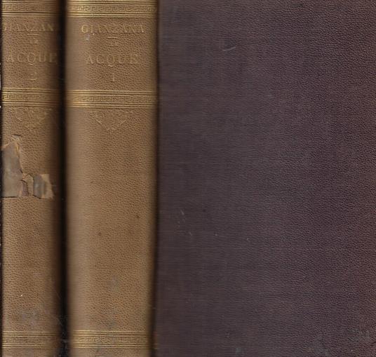 Le acque nel diritto civile italiano - Sebastiano Gianzana - copertina