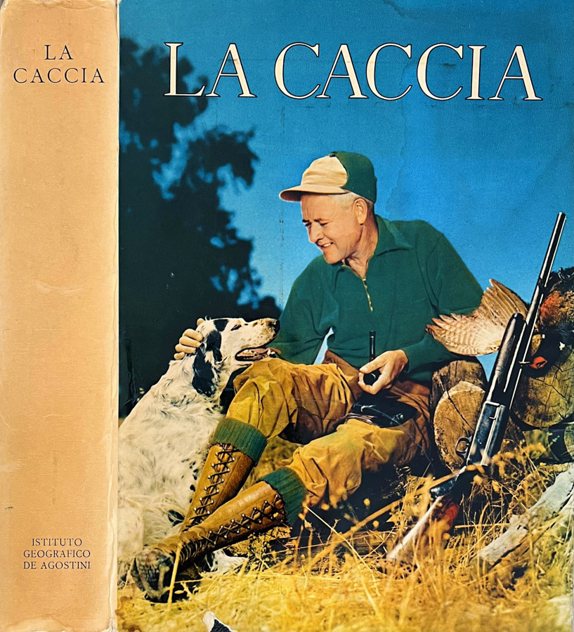 Biblioteca di Babele