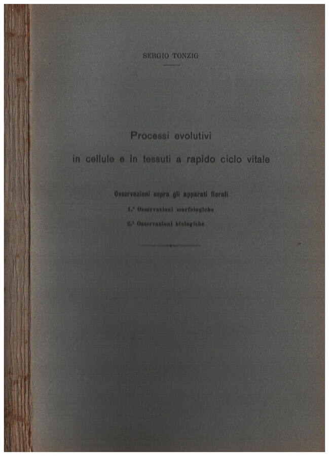 Biblioteca di Babele