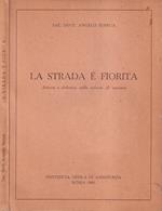 La strada è fiorita