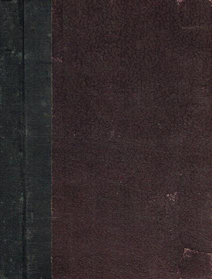 La giovinezza di D.Bosco. Libro per i ragazzi - copertina