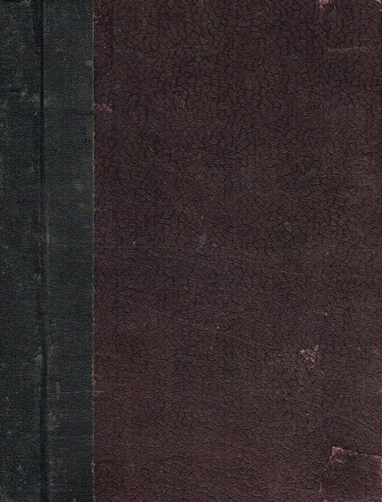 La giovinezza di D.Bosco. Libro per i ragazzi - copertina