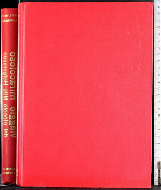 Viaggio miracoloso del piccolo Nils Holgersson - copertina