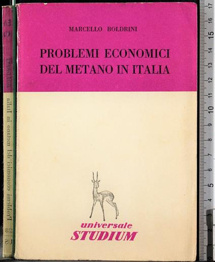 Problemi economici del metano in Italia - copertina