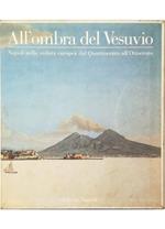 All'ombra del Vesuvio Napoli nella veduta europea dal Quattrocento all'Ottocento - volume in cofanetto editoriale