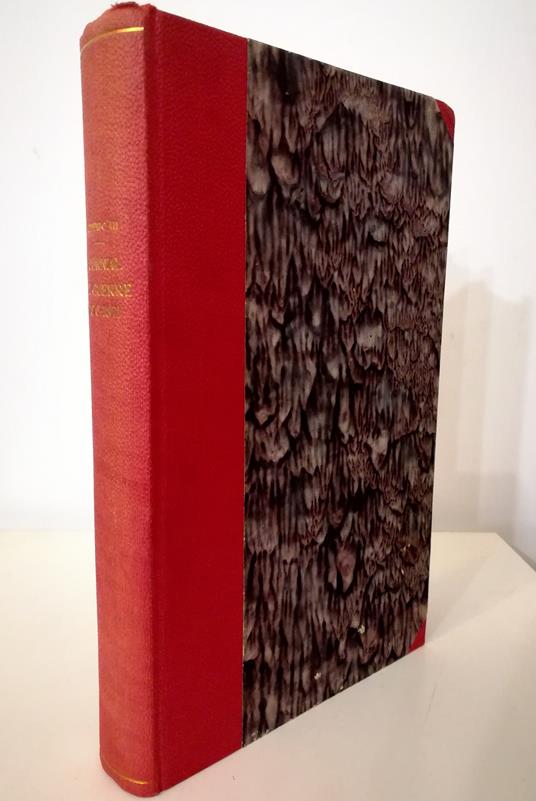 Journal de guerre 1870-1871 - copertina