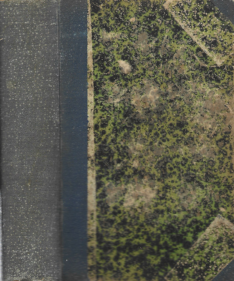 Biblioteca di Babele