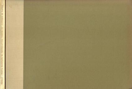 Nuova raccolta di ventiquattro vedute de' contorni di Napoli - Bartolomeo Pinelli - copertina