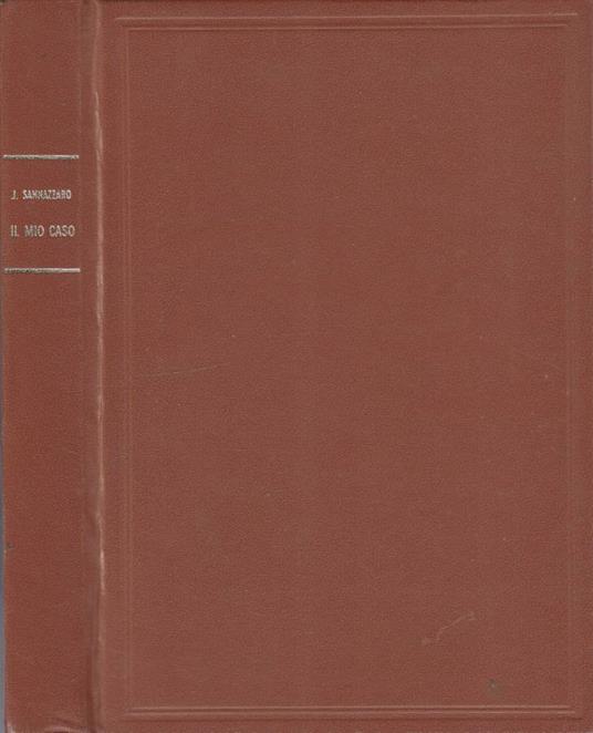Il mio caso come musicista - Jacopo Sannazzaro - copertina