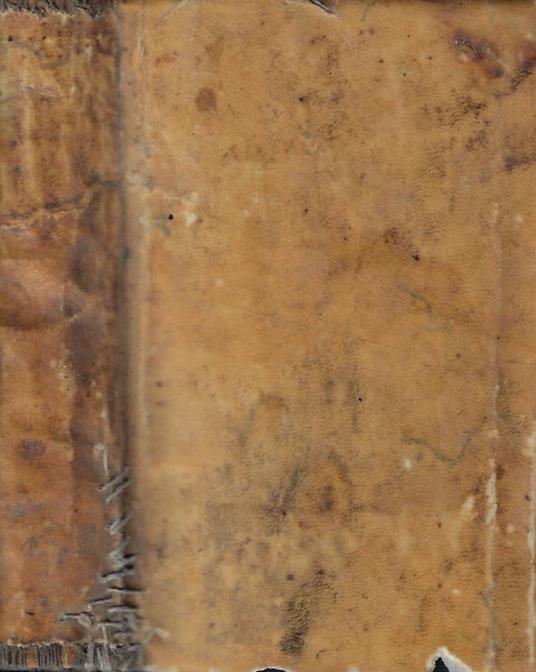 Il salterio del pellegrino - D. Luigi Tosti - copertina