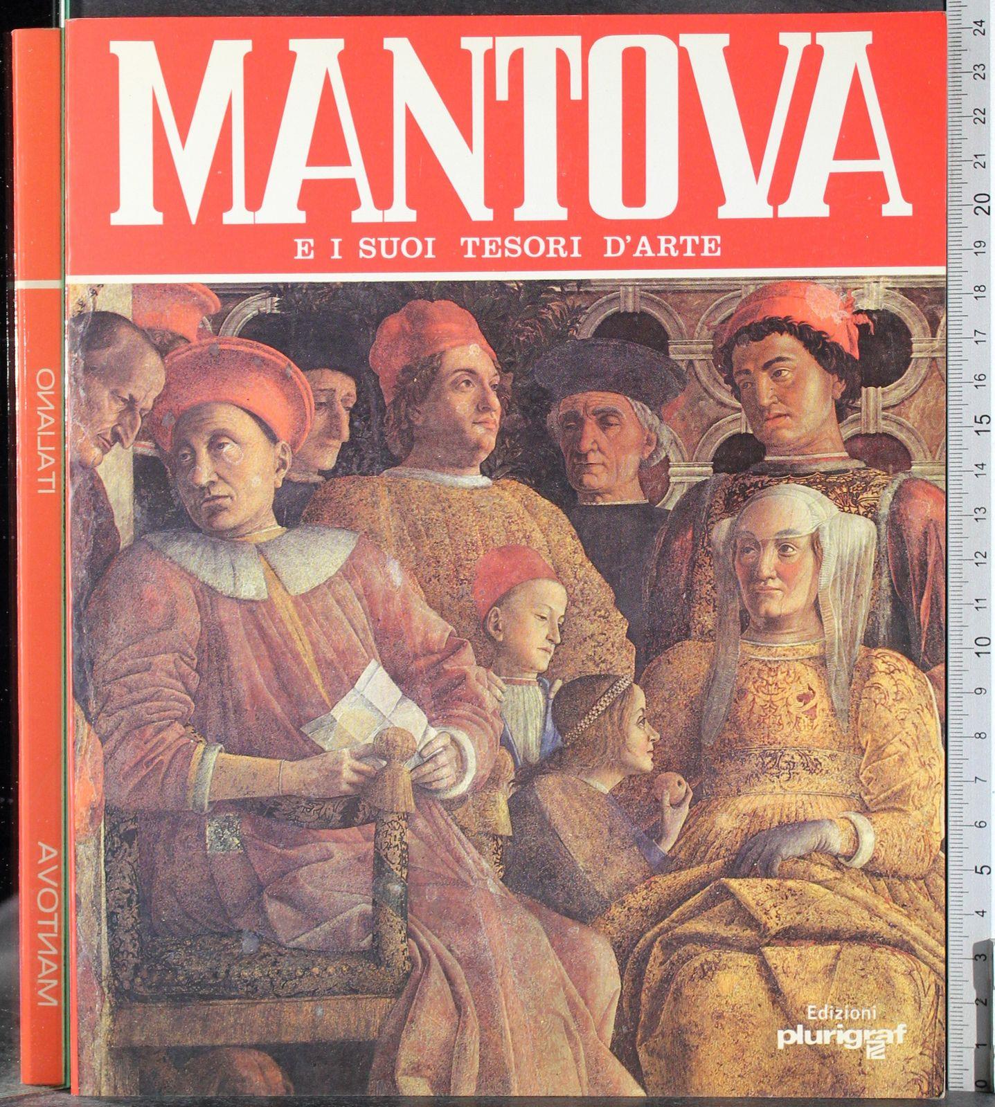 Mantova e i suoi tesori d'arte