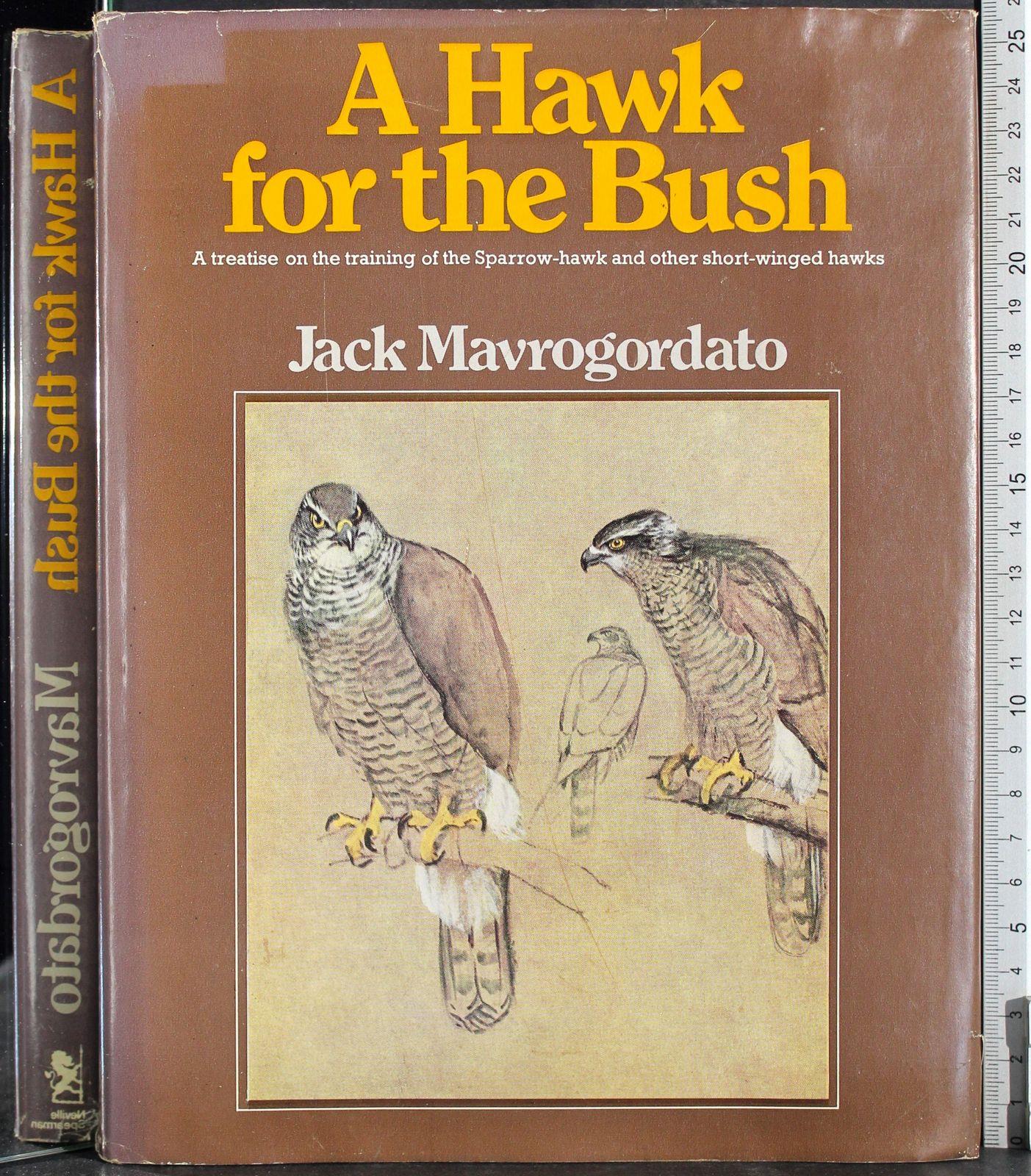 A Hawk for the Bush