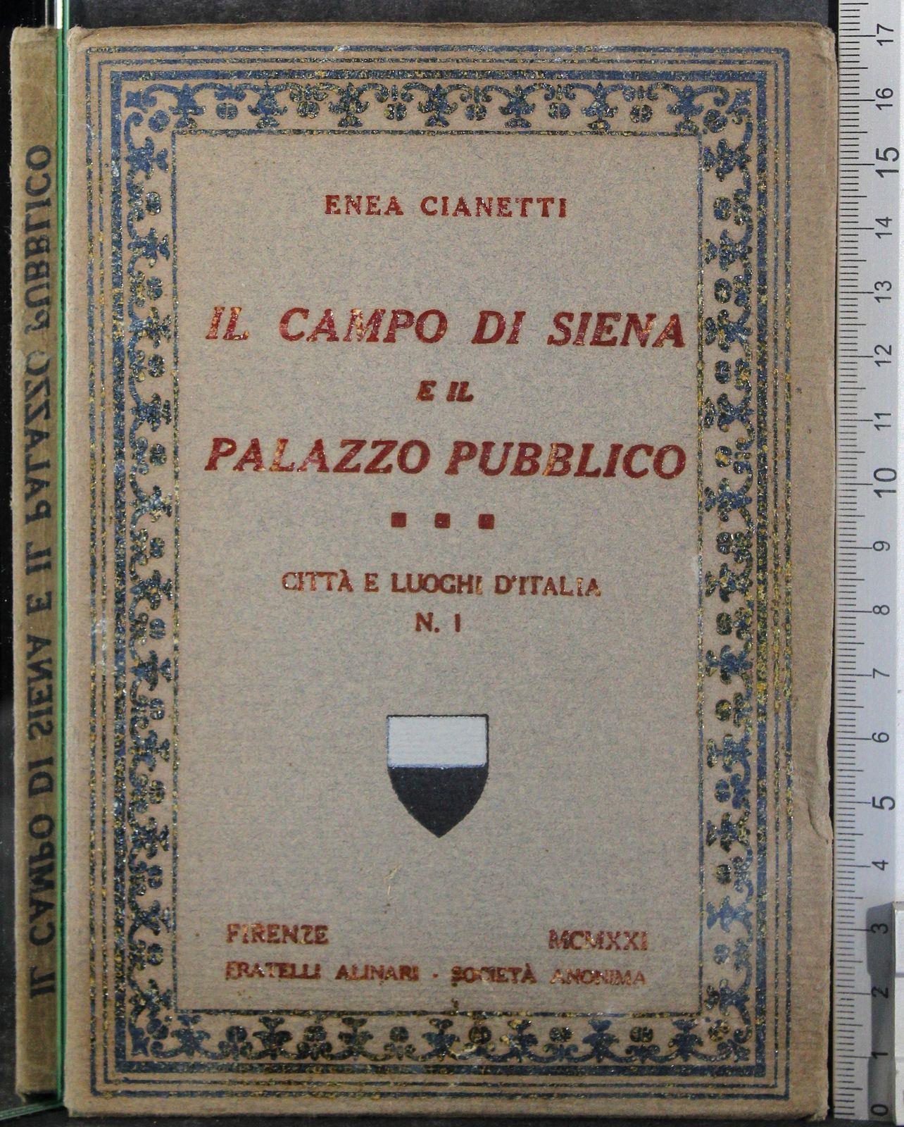Il Campo di Siena e il Palazzo pubblico