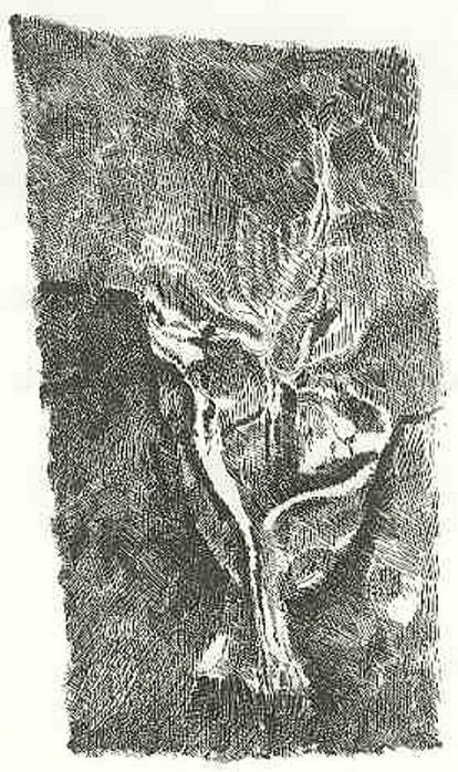 Studio Bibliografico Marini