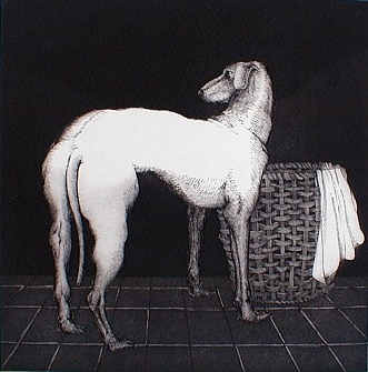 Studio Bibliografico Marini