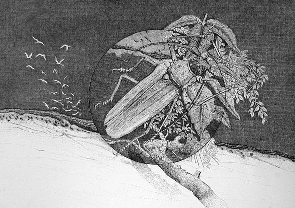 Studio Bibliografico Marini