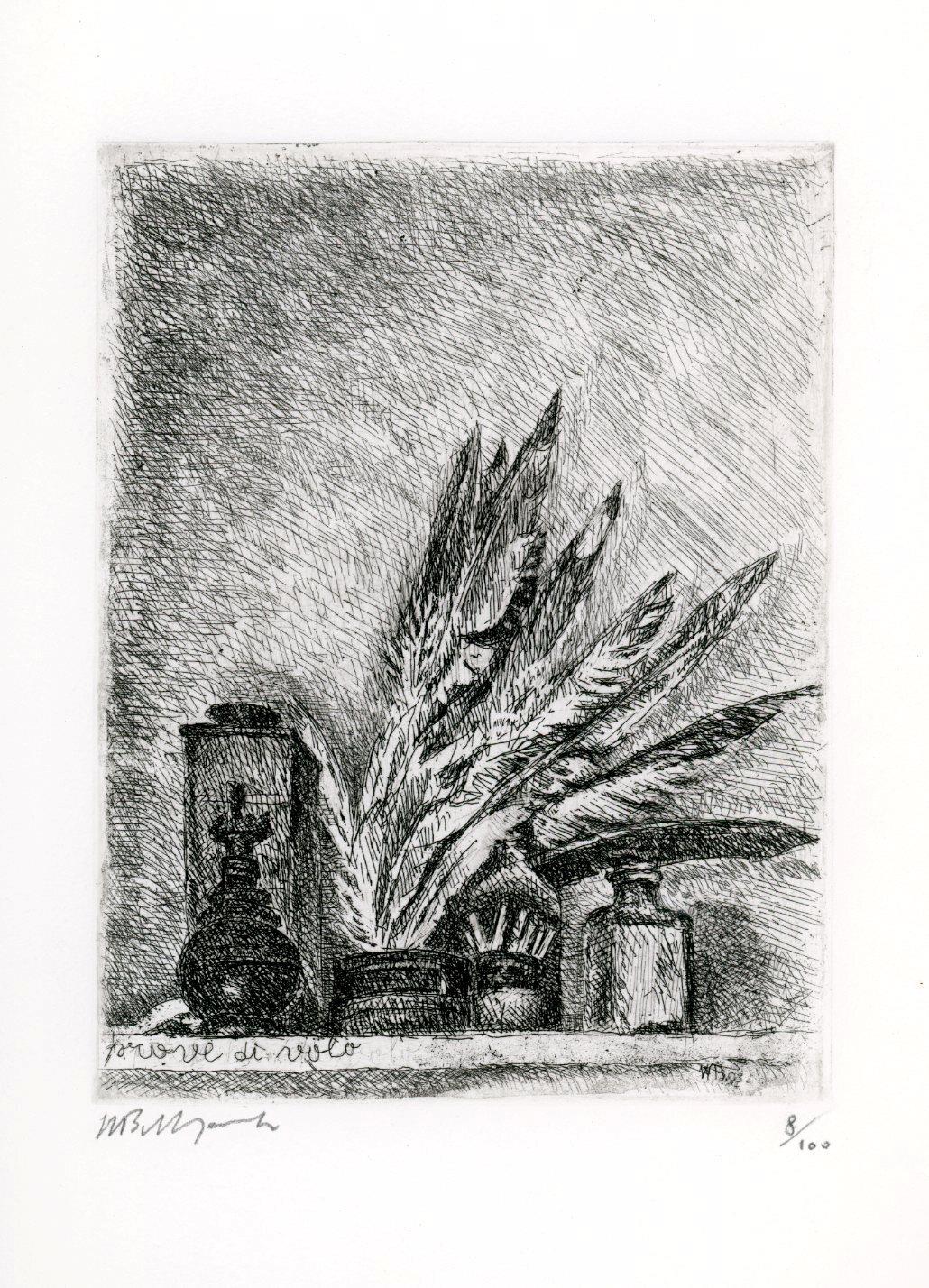 Il sogno del gabbiano