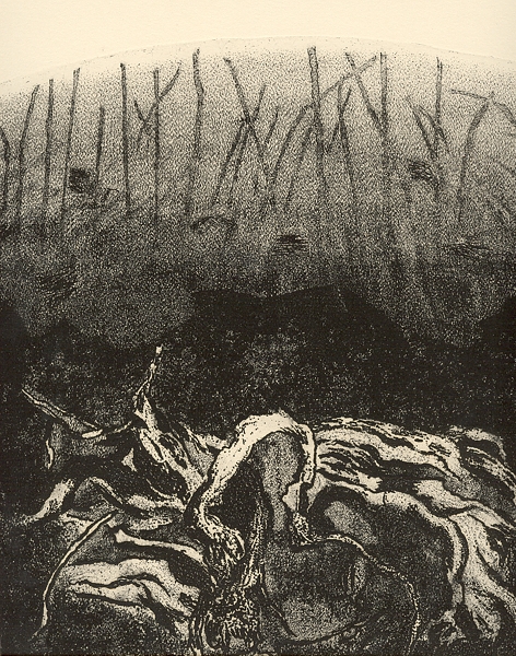 Studio Bibliografico Marini