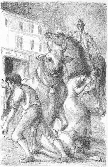 Senza titolo - Domenico Purificato - copertina