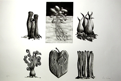 Studio Bibliografico Marini