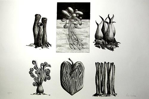 Senza titolo - copertina