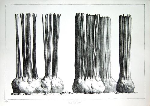 Taluma trillosa - copertina